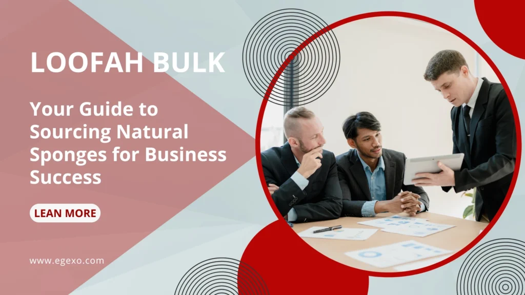Loofah Bulk Your Guide to Sourcing Natural Sponges for Business Success The Complete Guide to Loofah Sponges