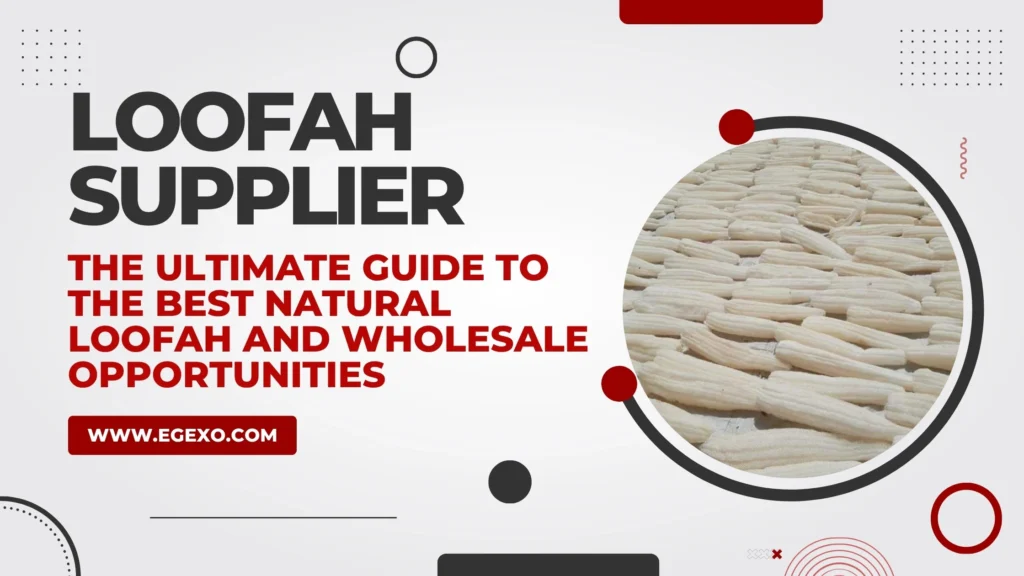 Natural Egyptian Luffa Sponge Wholesale Collection - Loofah Supplier