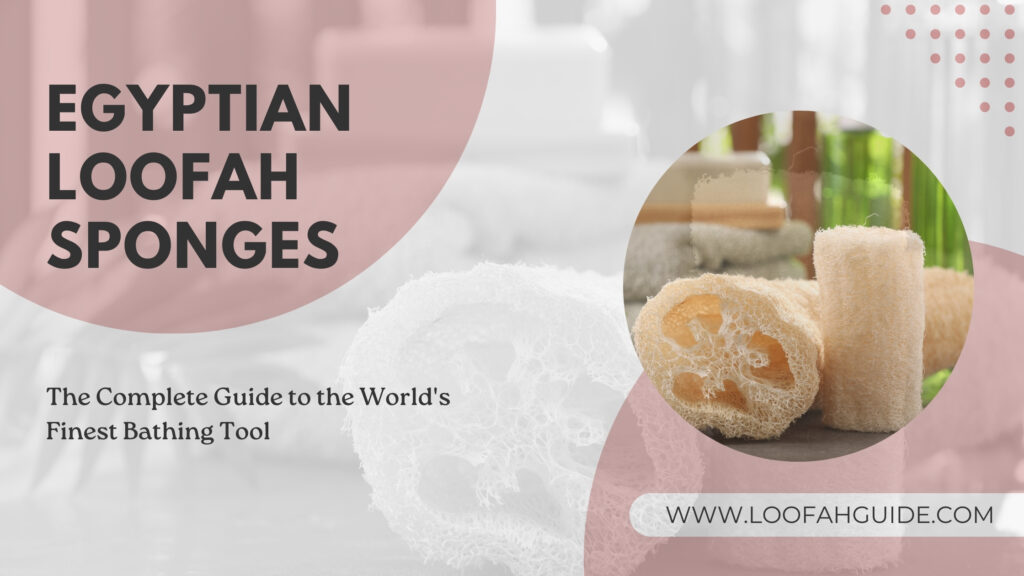 Egyptian Loofah Sponges: The Complete Guide to the World's Finest Bathing Tool 5 Loofah Guide Egyptian Loofah Sponges | Ultimate Bathing Guide 2025 | LoofahGuide
