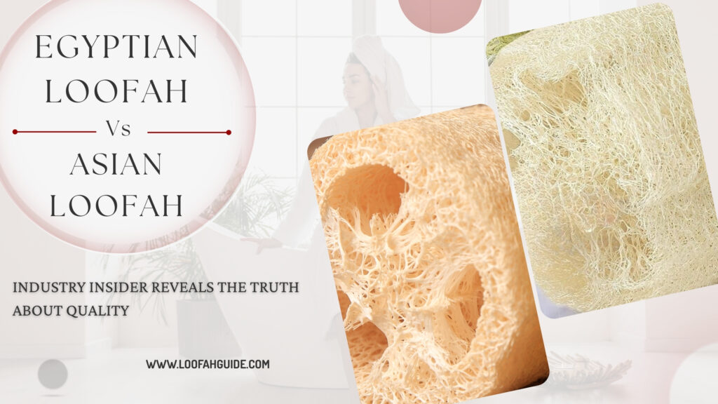 Chinese Loofah Vs Egyptian Loofah | Honest Quality Comparison 2025