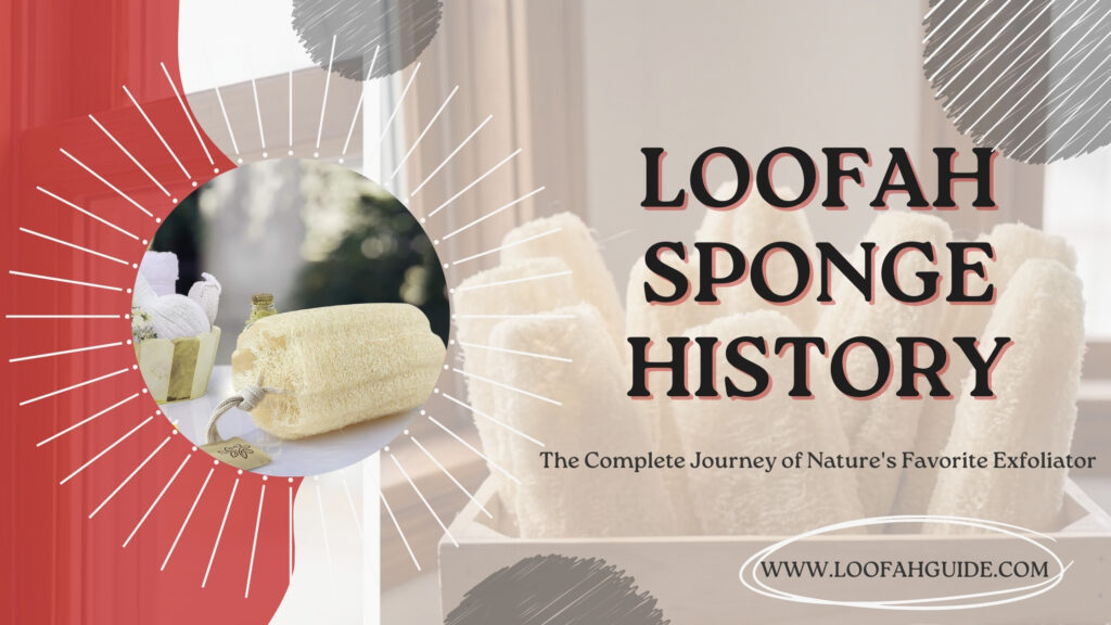 Loofah Sponge History: The Complete Journey of Nature's Favorite Exfoliator 2 Loofah Guide Loofah Sponge History | Complete Guide from Ancient Times | LoofahGuide