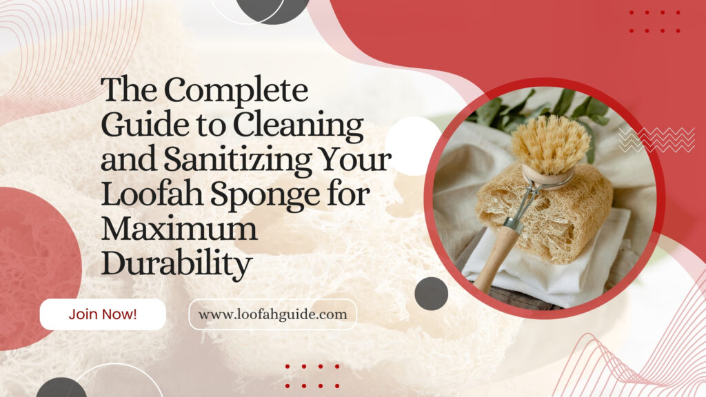 How to Clean and Sanitize Your Loofah Sponge | Expert Care Guide | Loofah Guide