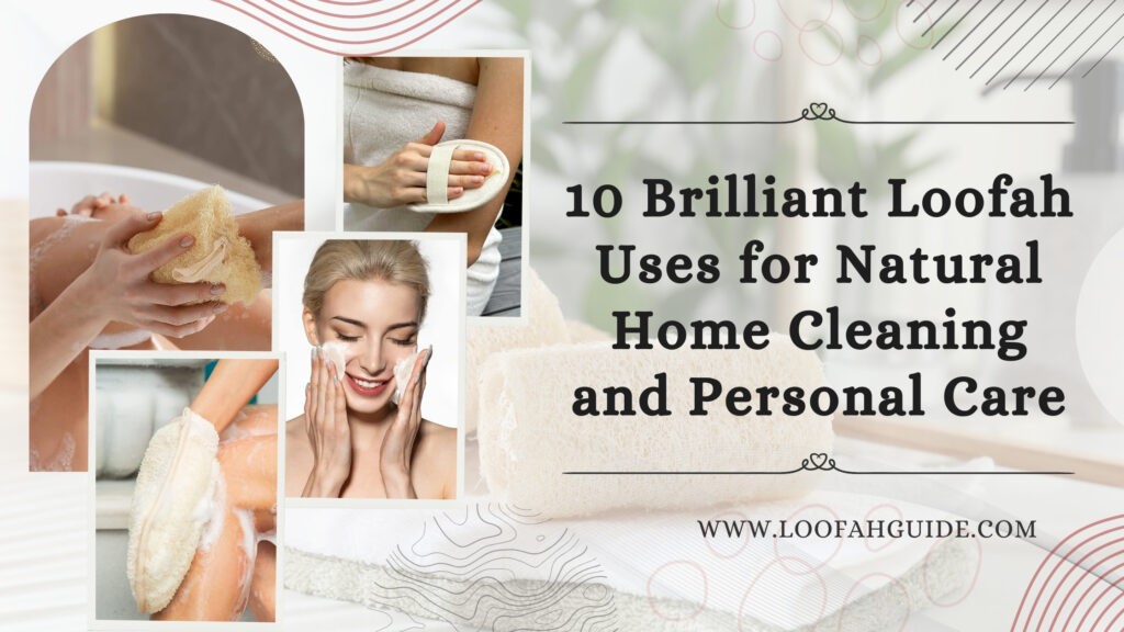 10 Brilliant Loofah Uses at Home: Natural Cleaning and Care Guide 2025