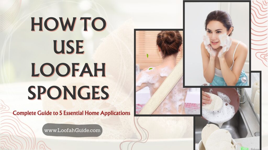How to Use Loofah Sponges: Complete Guide to 5 Essential Home Applications 2 Loofah Guide How to Use Loofah Sponges: 5 Home Applications Guide | LoofahGuide