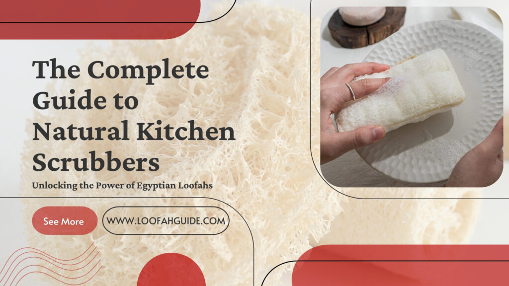 Natural Kitchen Scrubber Explained | Egyptian Loofah Benefits | LoofahGuide