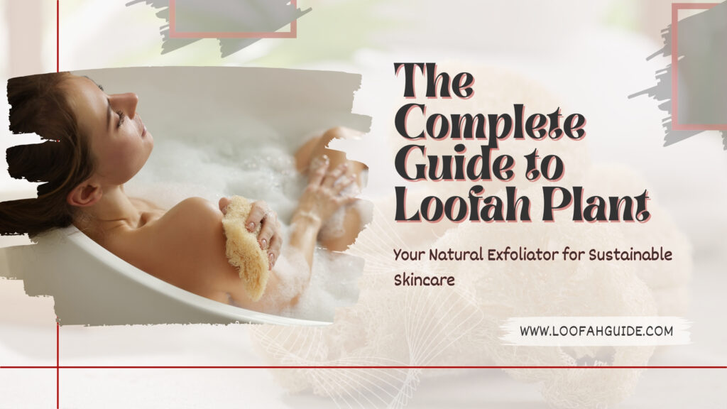 Loofah Plant Guide: Natural Exfoliator Benefits and Uses | LoofahGuide