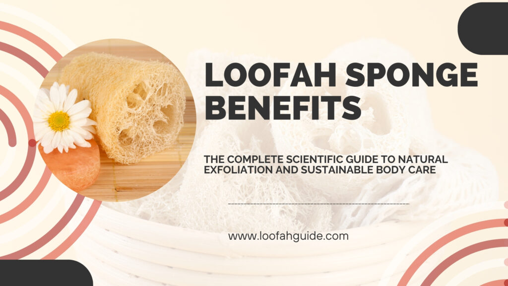 Loofah Sponge Benefits: The Complete Scientific Guide to Natural Exfoliation and Sustainable Body Care 4 Loofah Guide The Complete Loofah Sponge Benefits: Scientific Guide to Natural Exfoliation and Sustainable Body Care
