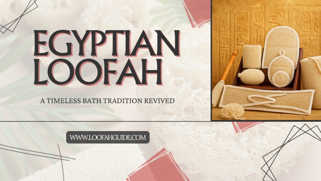 Egyptian Loofah Guide | Natural Skincare Secrets Revealed | 2026