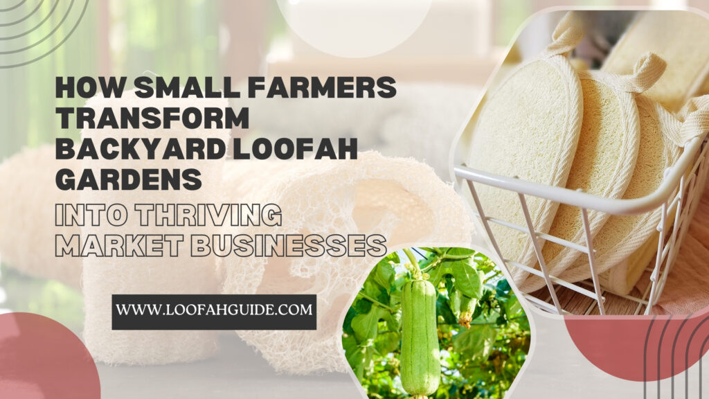Small Grower Loofah Success Story | Garden to Market Guide 2025