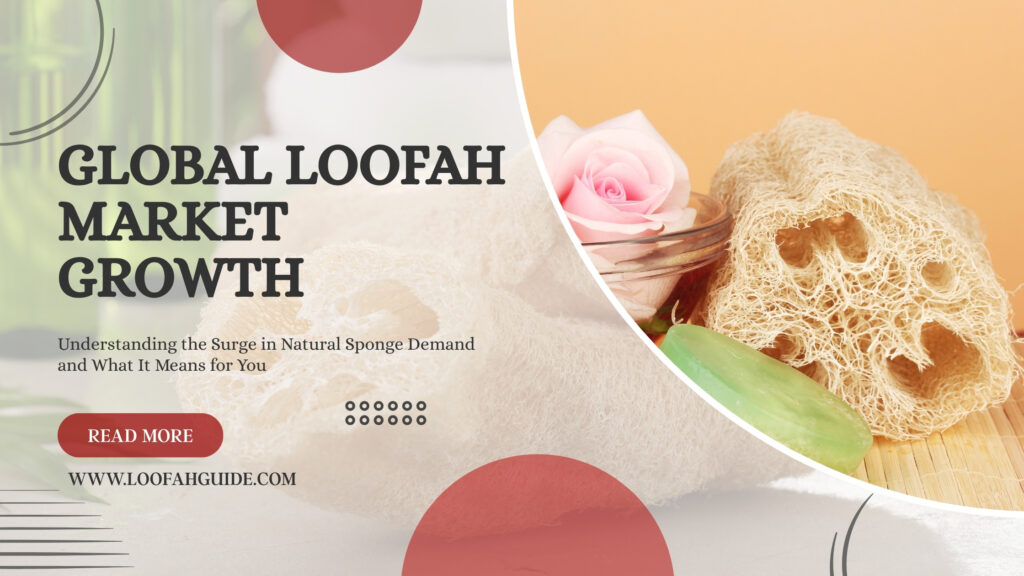 Global Loofah Market Growth | Consumer Trends 2026 | Loofah Guide