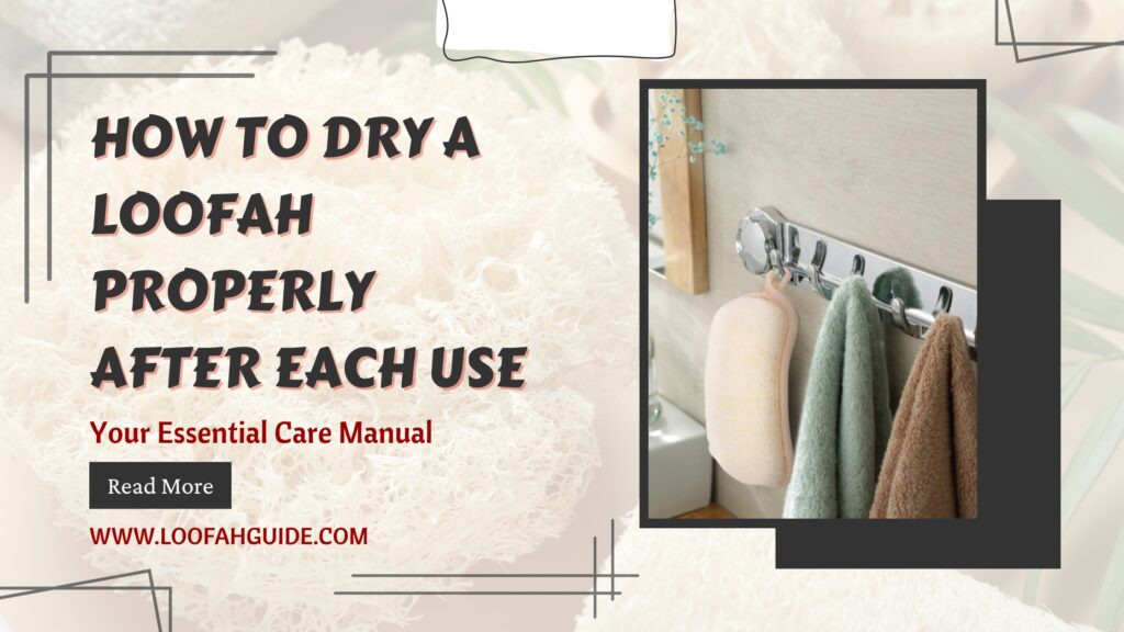 How to Dry a Loofah Properly After Each Use | LoofahGuide 2026