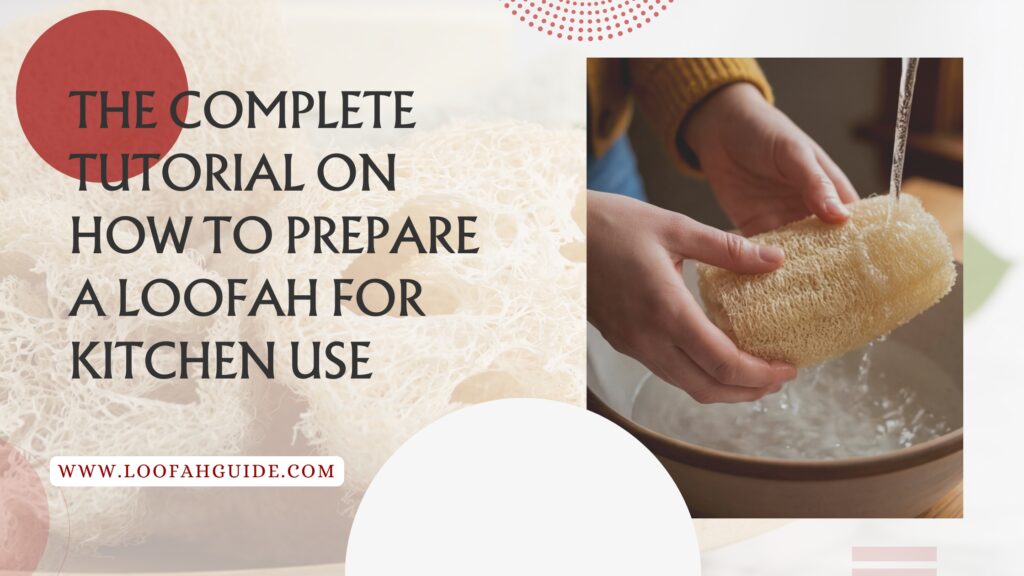 How to Prepare a Loofah for Kitchen Use | Step by Step Tutorial | Loofah Guide