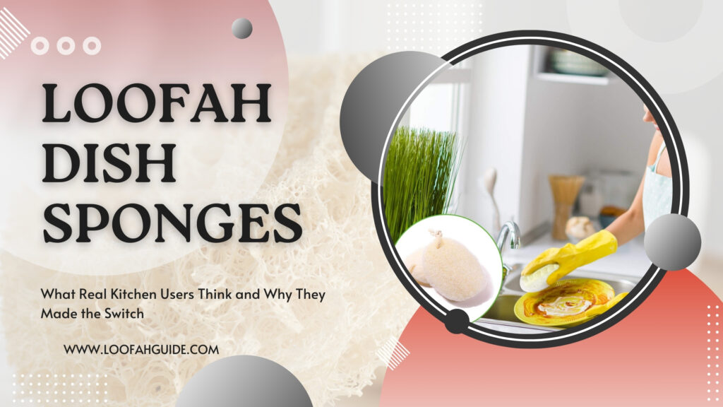Loofah Dish Sponges User Guide and Honest Reviews 2025