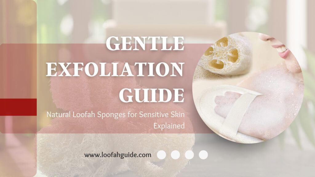 Natural Loofah Sponges for Sensitive Skin | Expert Guide 2026 | LoofahGuide