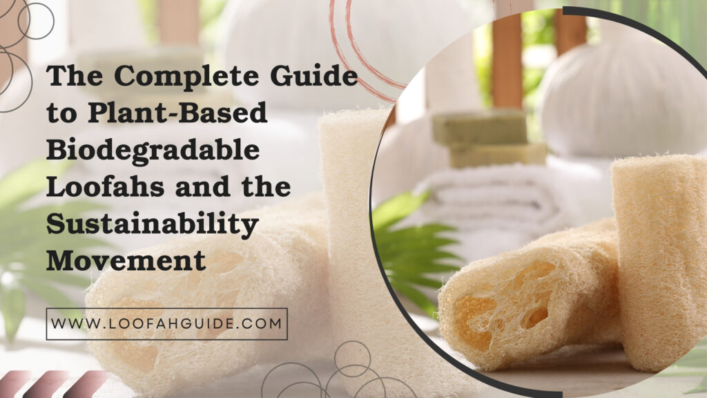 Plant-Based Biodegradable Loofahs Guide | Eco Trends 2026
