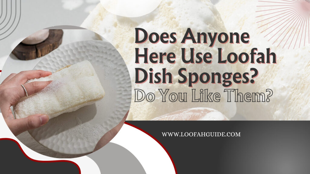 Does Anyone Here Use Loofah Dish Sponges? Do You Like Them? 2 Loofah Guide Use Loofah Dish Sponges | Honest Review and Tips | Loofah Guide