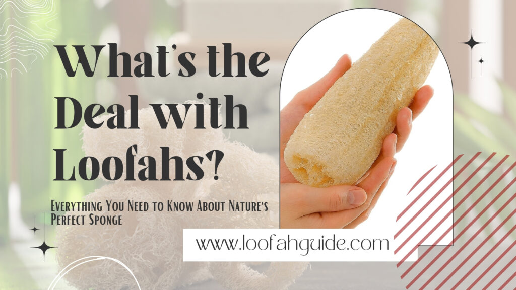 What's the Deal with Loofahs? Your Ultimate Guide 2025