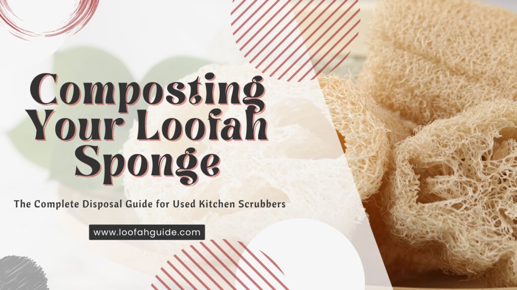 Composting Your Loofah Sponge | Kitchen Scrubber Disposal | 2026