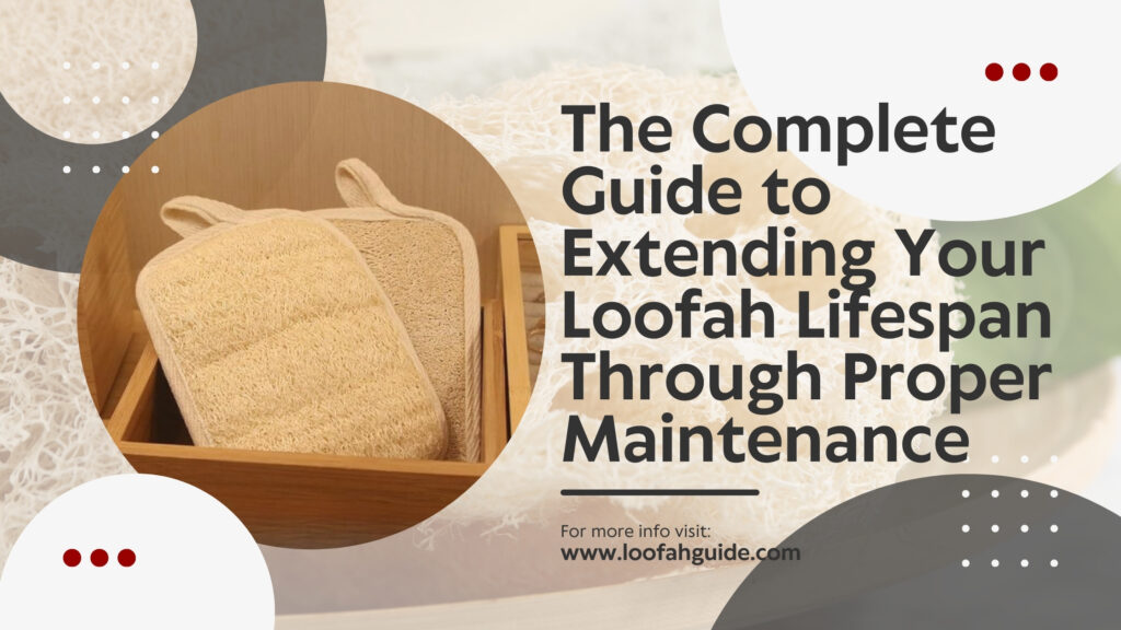 Double Your Loofah's Useful Life with Care Tips | 2026 | Loofah Guide