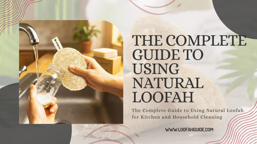 Natural Loofah for Kitchen and Household Cleaning Guide 2026