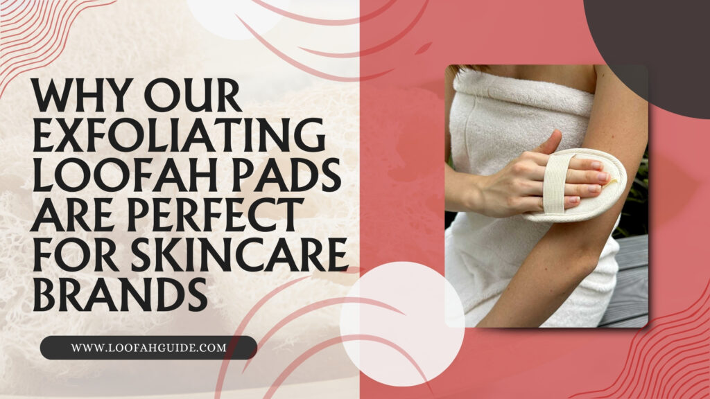 Why Our Exfoliating Loofah Pads Are Perfect for Skincare Brands | Guide 2026