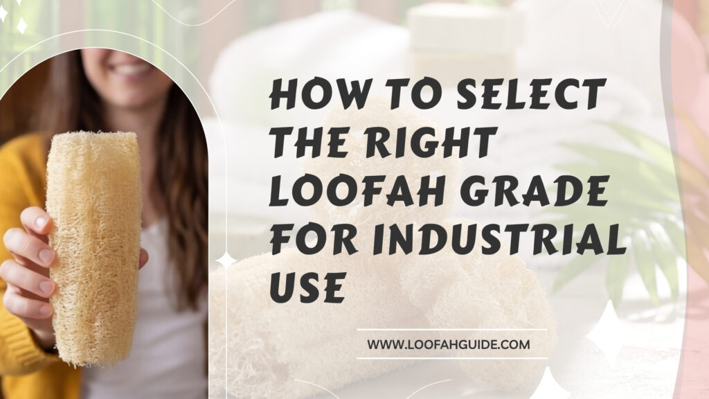 How to Select the Right Loofah Grade for Industrial Use | Complete Guide 2026