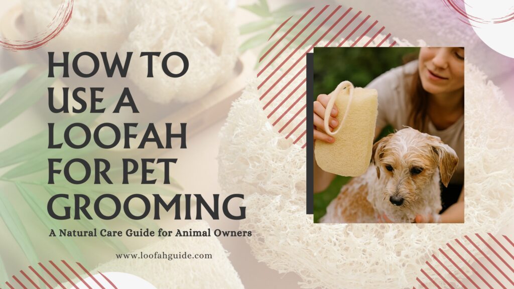 How to Use a Loofah for Pet Grooming | Natural Animal Care Guide 2026