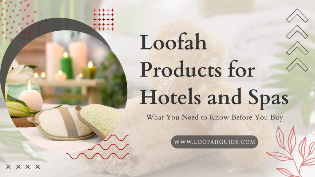 Loofah Products for Hotels and Spas | What to Know 2026 | LoofahGuide