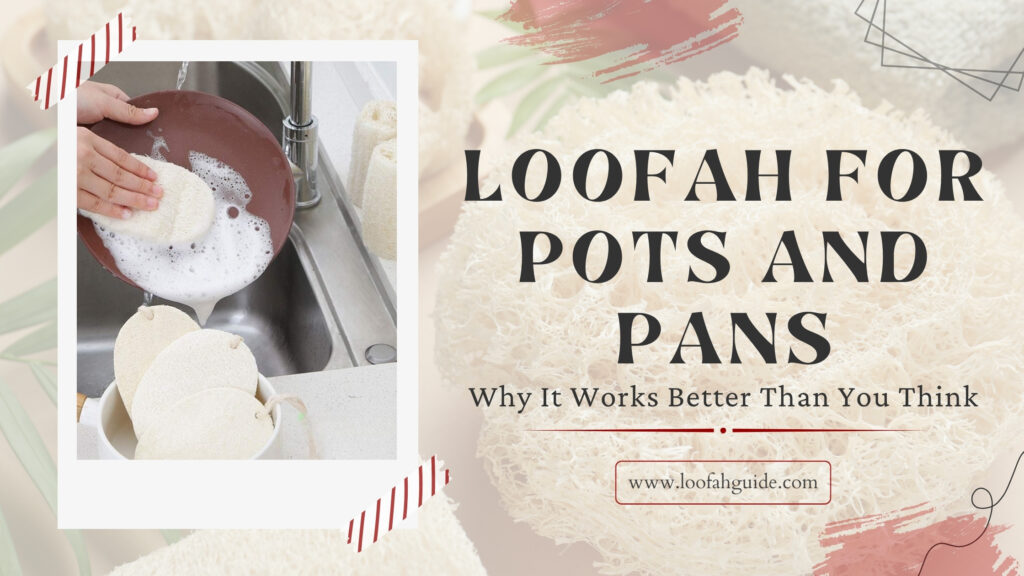 Loofah for Pots and Pans | The Complete Kitchen Guide 2026