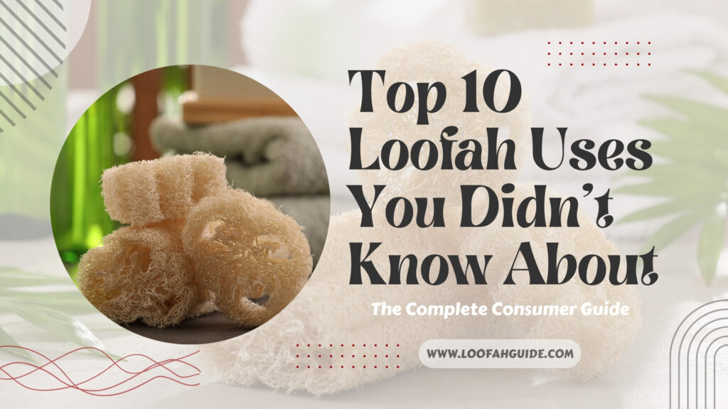 Top 10 Loofah Uses You Didn't Know About: The Complete Consumer Guide 2 Loofah Guide Top 10 Loofah Uses You Didn't Know About | Full Guide 2026