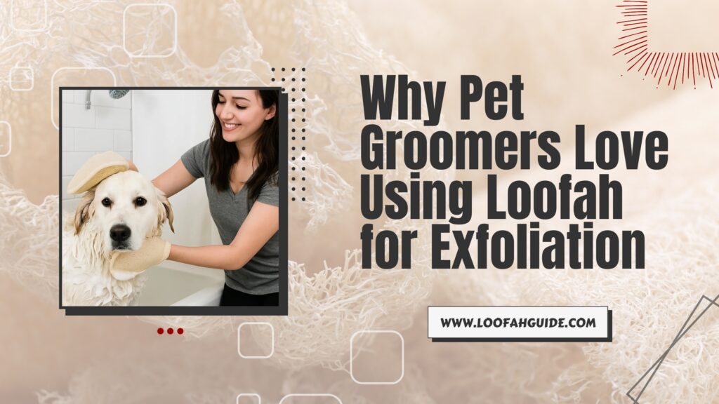 Why Pet Groomers Love Using Loofah for Exfoliation | Complete Guide 2025