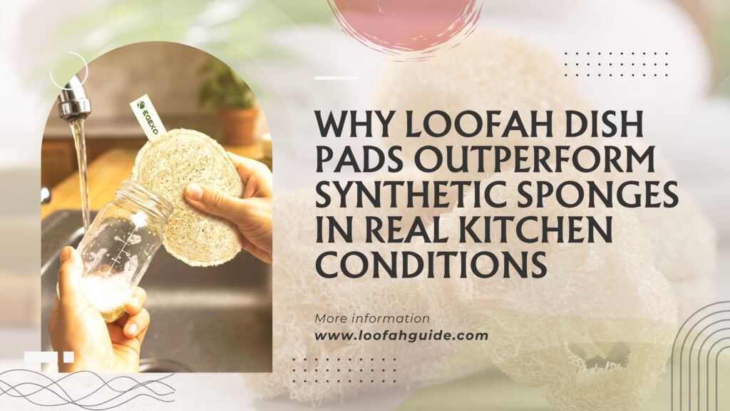 Why Loofah Dish Pads Outperform Synthetic Sponges | Practical Guide 2026