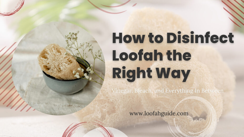 How to Disinfect Loofah Properly: Vinegar vs Bleach Guide 2026
